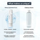 Miduty by Palak Notes EpiShield Face Toner - Swadesiicart