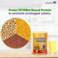 Celevida Nutrition Health Drink - Chocolate Flavor