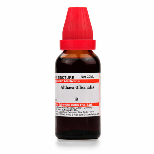 Dr. Willmar Schwabe India Althaea Officinalis Mother Tincture Q | Swadesiicart