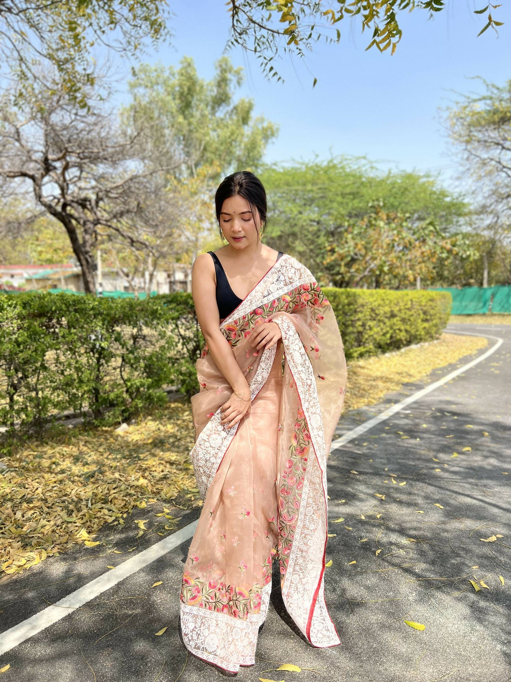 Vamsee Riddhi-Siddhi -1 Brown Organza Saree - Swadesiicart