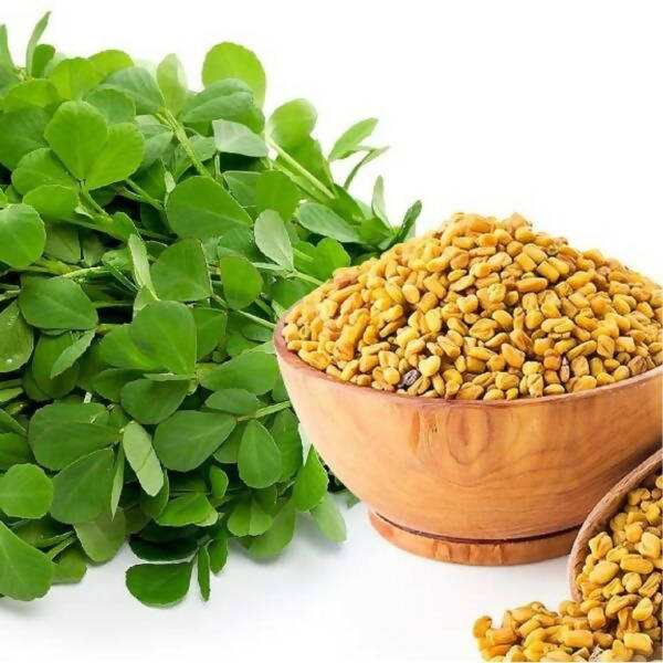Freshon Fenugreek Seeds / Mente (Methi Seeds) - Swadesiicart