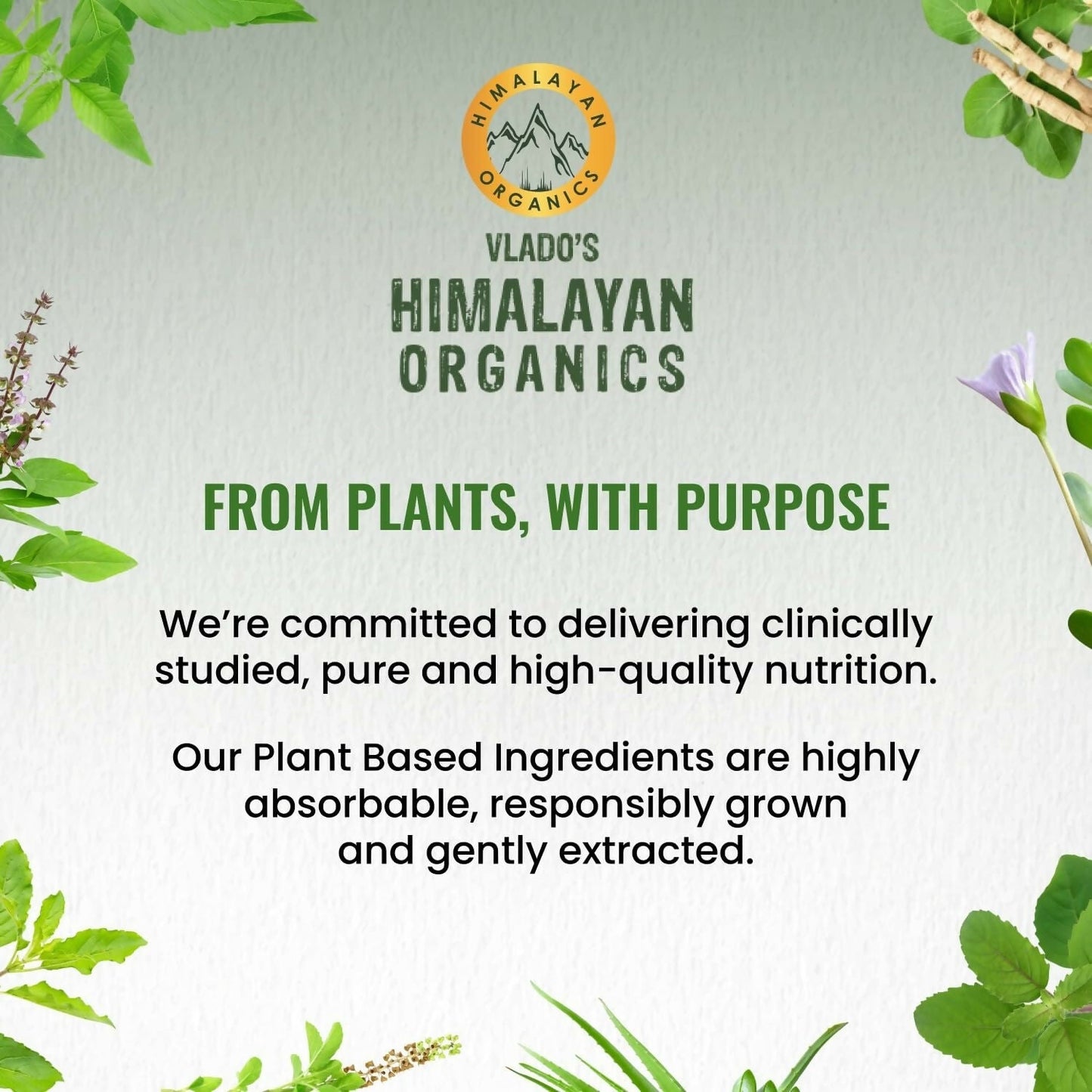 Himalayan Organics Vlado’s Plant Based 600iU Supplement Vitamin D3 + K2 | Swadesiicart