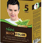 Nisha Henna Based Quick Hair Color Black - Swadesiicart