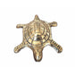 Tortoise with Small Brass Plate - Swadesiicart