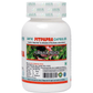 Iafa Ayuveda Pitpapra Veg Capsules | Swadesiicart