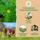 Organic India Gokshura Capsules | Swadesiicart