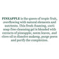 Biotique Advanced Ayurveda Bio Pineapple Oil Control Foaming Face Cleanser - Swadesiicart