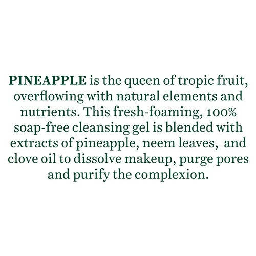 Biotique Advanced Ayurveda Bio Pineapple Oil Control Foaming Face Cleanser - Swadesiicart