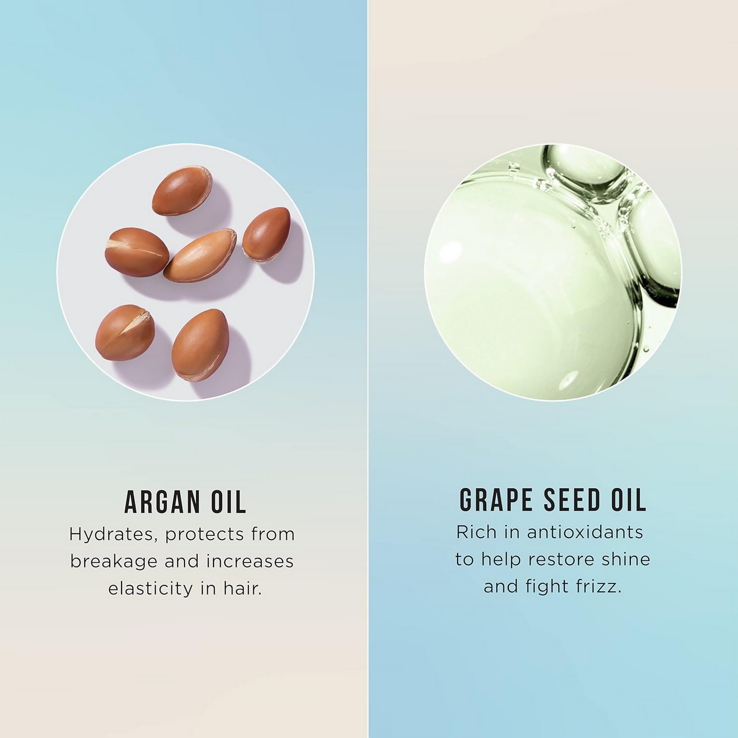 HASK Argan Oil Repairing Hair Oil | Swadesiicart