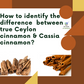 Nxtgen Ayurveda Ceylon Cinnamon Sticks - Swadesiicart