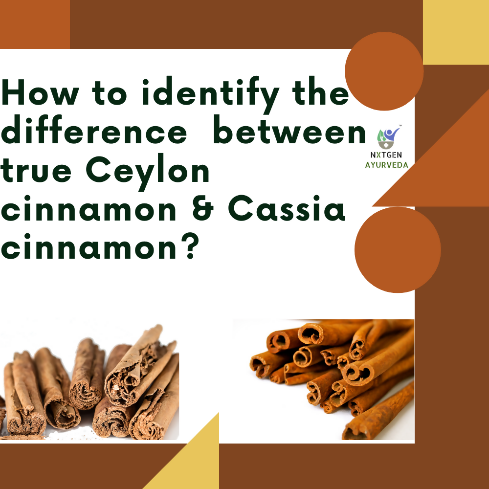 Nxtgen Ayurveda Ceylon Cinnamon Sticks - Swadesiicart