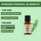 Alps Goodness Rosemary Revive Kit