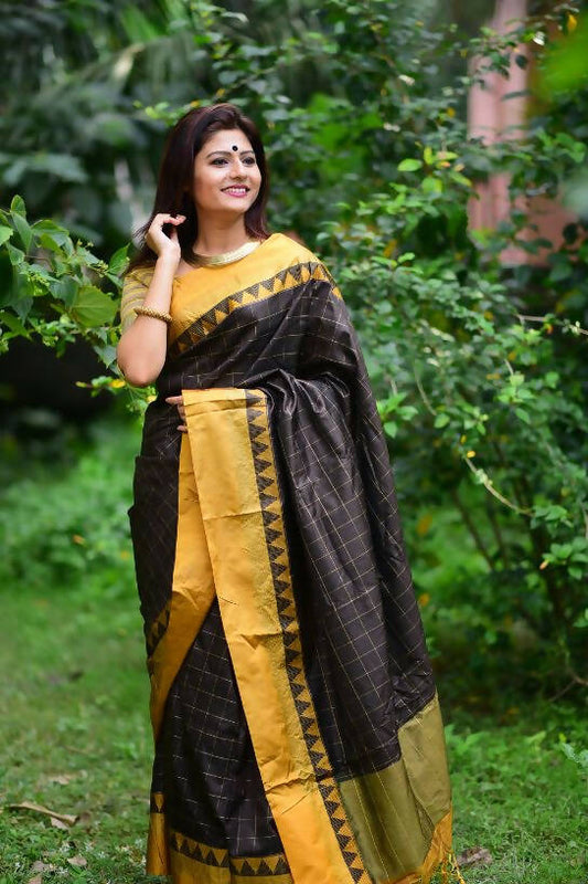 Vishnu Weaves Women's Dark Coffee Raw Silk Checks Zari Woven Saree with Unstitched Blouse - Swadesiicart