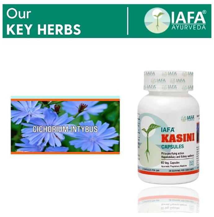 Iafa Ayuveda Kasini Veg Capsules | Swadesiicart