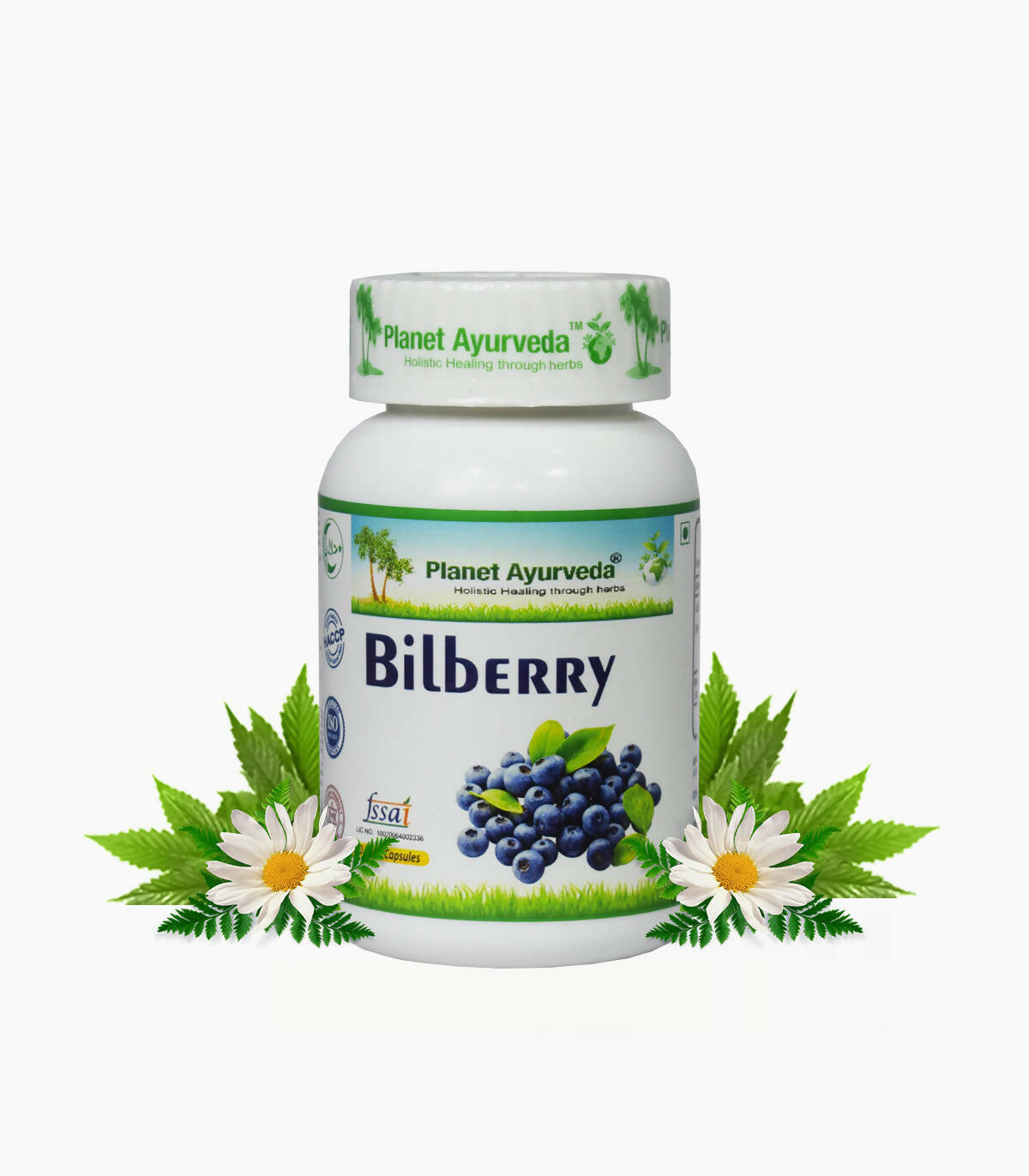 Planet Ayurveda Bilberry Capsules - Planet Ayurveda