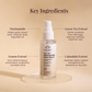 Earthraga Niacinamide Face Serum | Swadesiicart