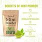 Shuddh Natural Mint Powder - Aromatic Flavor - Swadesiicart