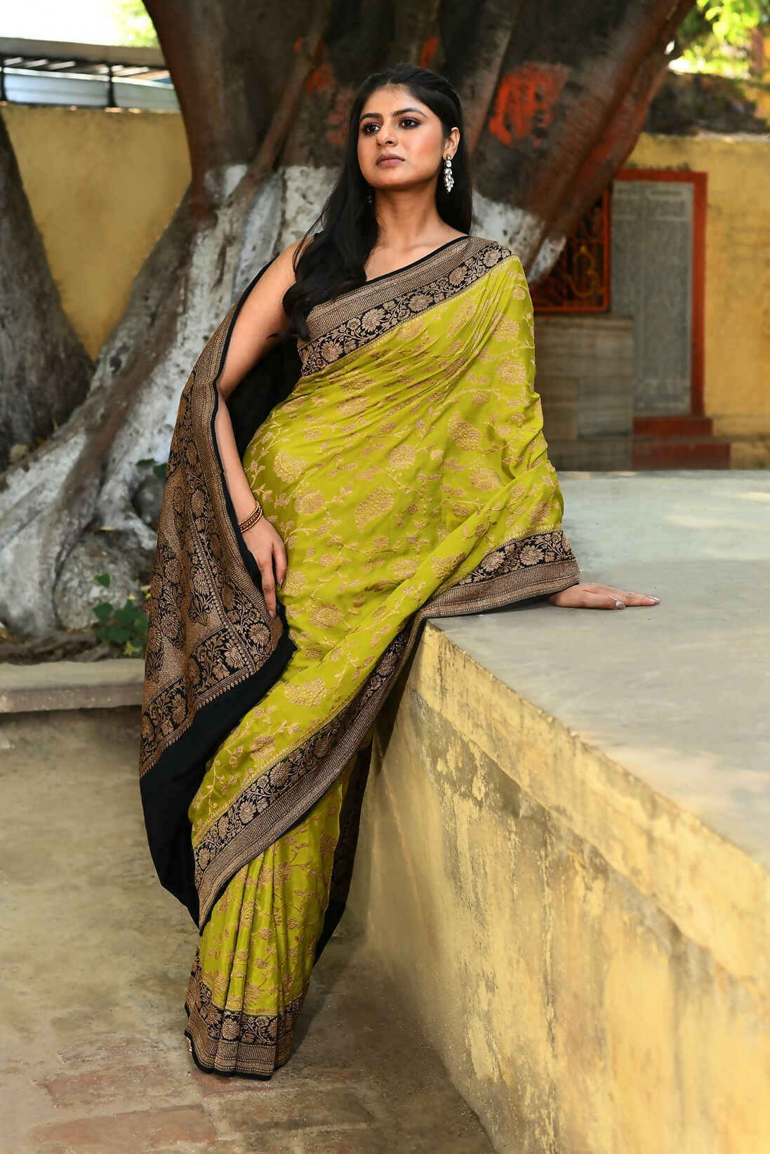 Joban Fashion Green Crepe Chiffon Pure Handloom Banarasi Silk Saree | Swadesiicart
