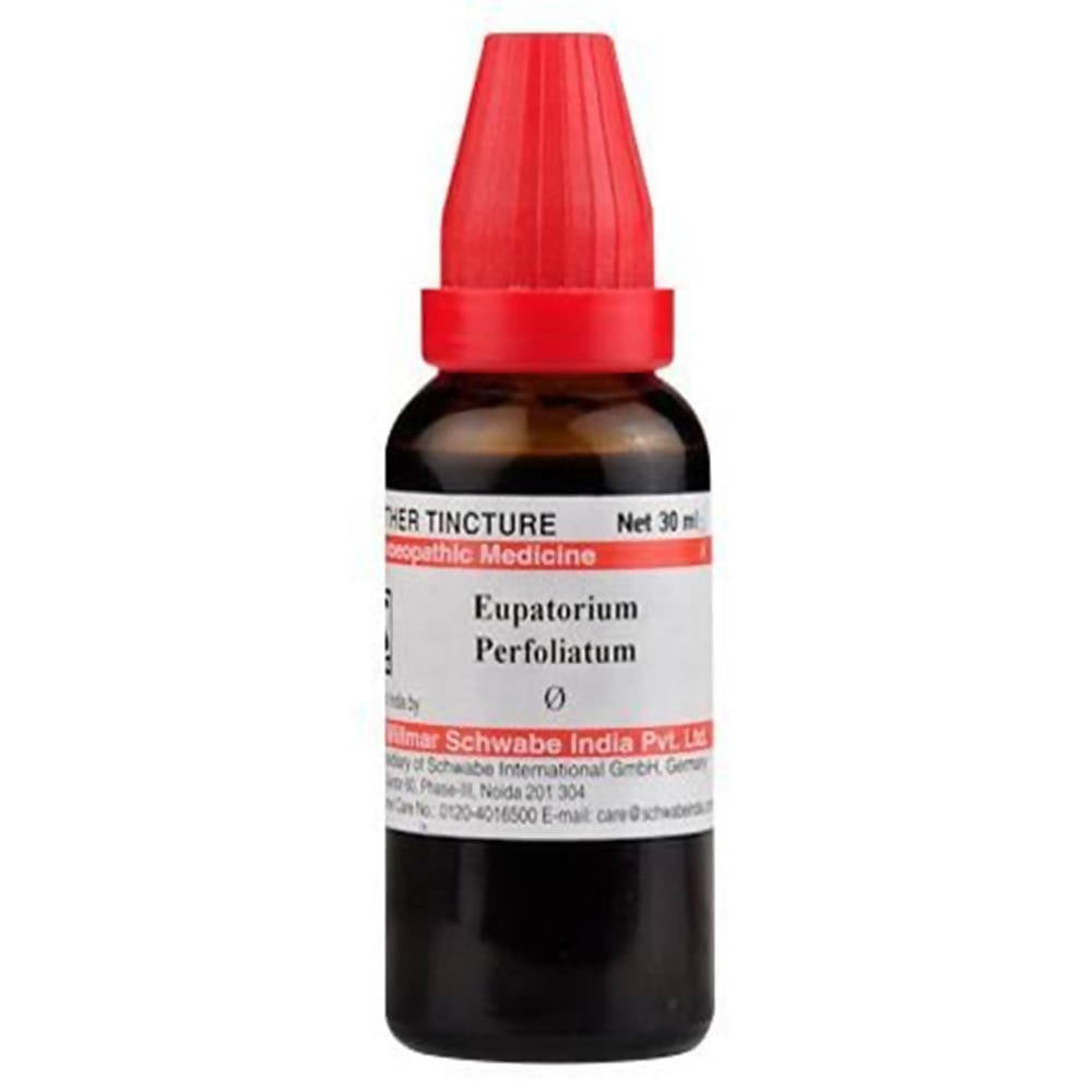 Dr. Willmar Schwabe India Eupatorium Perfoliatum Mother Tincture Q | Swadesiicart