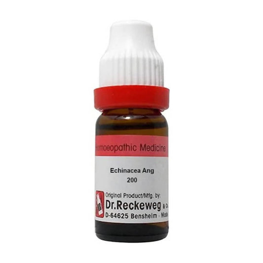 Dr. Reckeweg Echinacea Ang Dilution - Swadesiicart