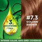 Garnier Color Naturals Ultra Hair Color - 7.3 Golden Brown - Swadesiicart