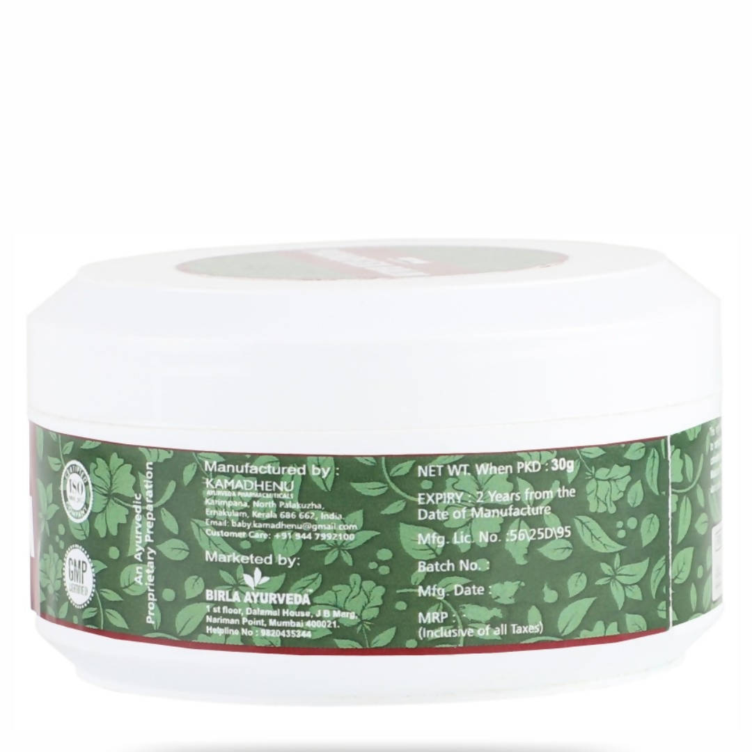 Birla Ayurveda Painoflex Balm | Swadesiicart