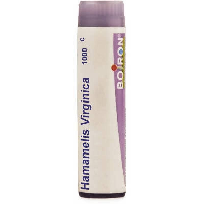 Boiron Homeopathy Hamamelis Virginica | Swadesiicart