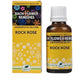 New Life Homeopathy Bach Flower Remedies Rock Rose Dilution