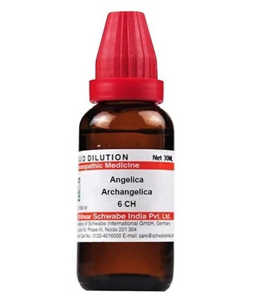 Dr. Willmar Schwabe India Angelica Archangelica Dilution | Swadesiicart