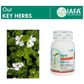 Iafa Ayuveda Brahmi Veg Capsules | Swadesiicart