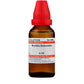 Dr. Willmar Schwabe India Wyethia Helenoides Dilution | Swadesiicart