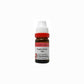 Dr. Reckeweg Euphorbium Dilution - Swadesiicart