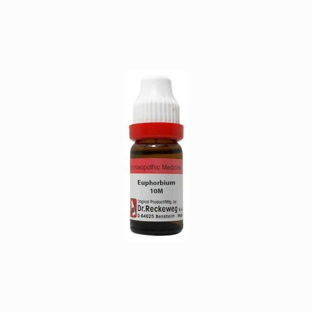 Dr. Reckeweg Euphorbium Dilution - Swadesiicart