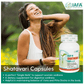 Iafa Ayuveda Shatavari Veg Capsules | Swadesiicart