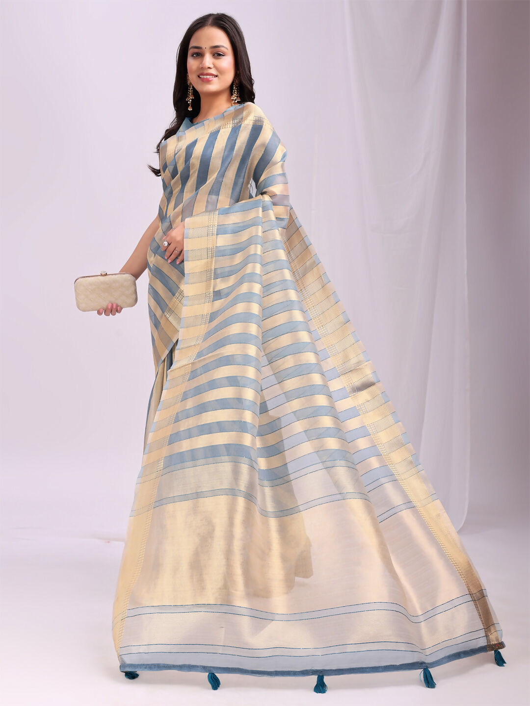 Shree Shyam Fashion Organza Sky Blue Saree