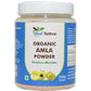 Ved Tattva Amla Powder | Swadesiicart