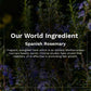 Pilgrim Spanish Rosemary & Biotin Anti Hairfall Shampoo For Reducing Hair Loss & Breakage - Swadesiicart