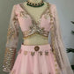 Jyoti Fashion Women's Baby Pink Butterfly Net 9MM Sequins with Thread Embroidered Designer Lehenga Choli Set | Swadesiicart