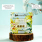 Fabessentials Vanilla Cinnamon Handmade Bathing Bar - Swadesiicart