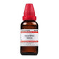 Dr. Willmar Schwabe India Calculi Biliari Dilution | Swadesiicart