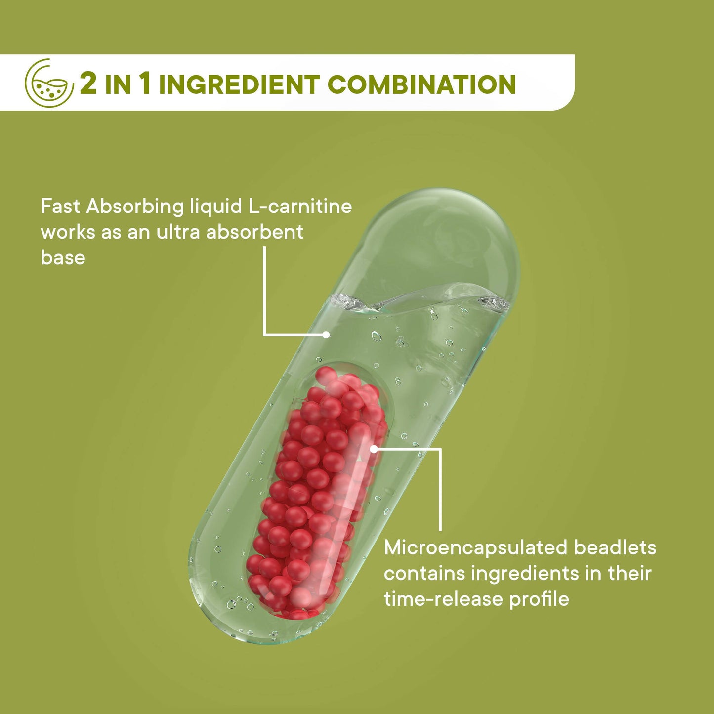Wellbeing Nutrition Slow | Burn Capsules - Swadesiicart