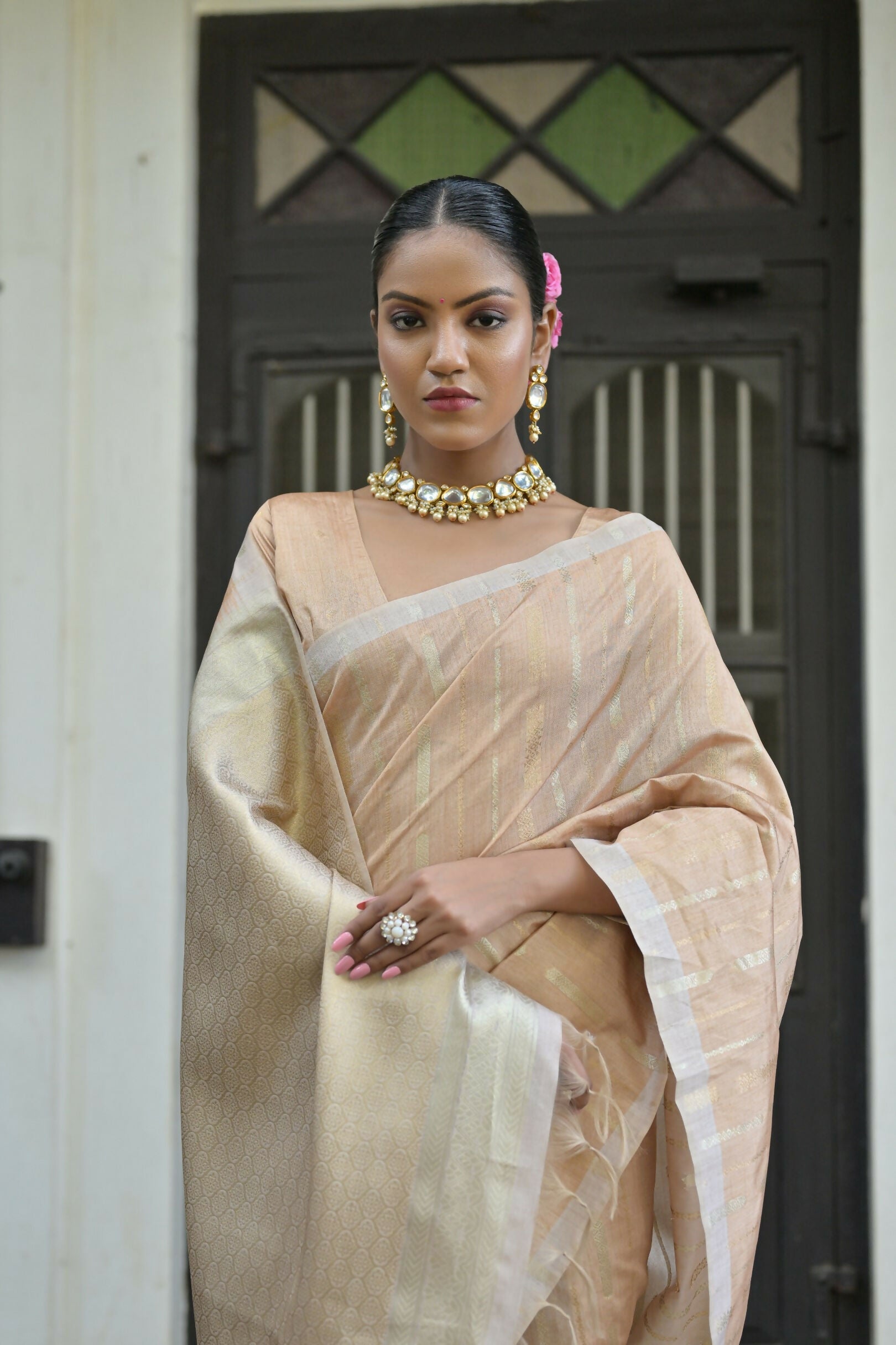 Vishnu Weaves Women's Chiku Premium Tussar Silk Saree with Blouse - Swadesiicart