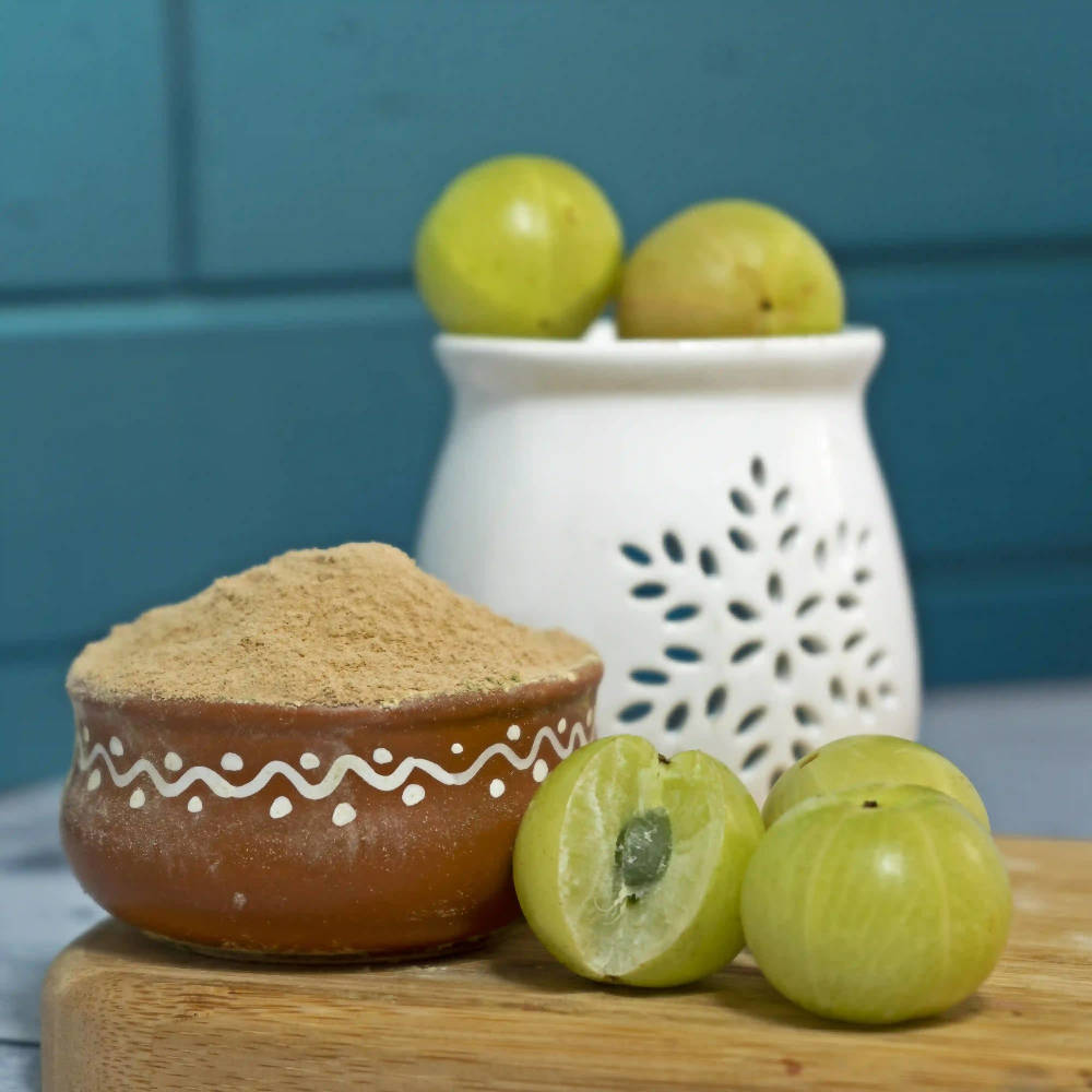 The Wellness Shop Organic Amla Powder | Swadesiicart