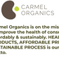 Carmel Organics Fenugreek Seed/Methi Seeds Powder