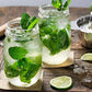 Newtrition Plus Sugar Free Virgin Mojito Syrup