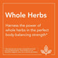 Now Foods Dandelion Root 500mg Veg Capsules | Swadesiicart