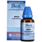 St. George's Bach Flower Remedies Beech (Fagus sylvatica) Dilution | Swadesiicart