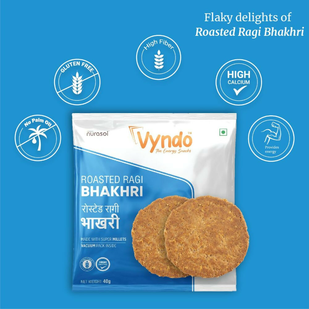 Vyndo Bhakhri Mini Snack Pack Combo - Swadesiicart
