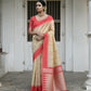 Vishnu Weaves Women's Chiku Raw Silk Saree with Blouse - Swadesiicart