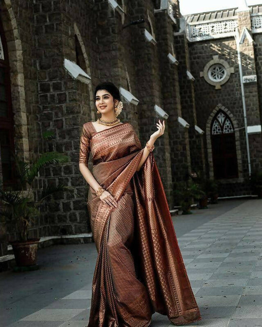 DEIANA'S Beautiful Designer Golden zari Soft Lichi Silk Saree - Brown - Swadesiicart
